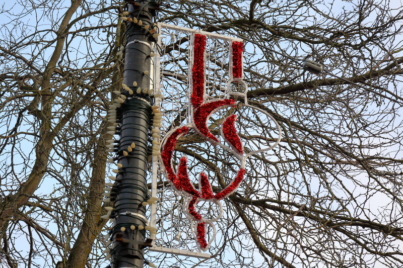 Illustration for article titled Pics from the Curbside: Christmas Day 2018 at Kerrisdale